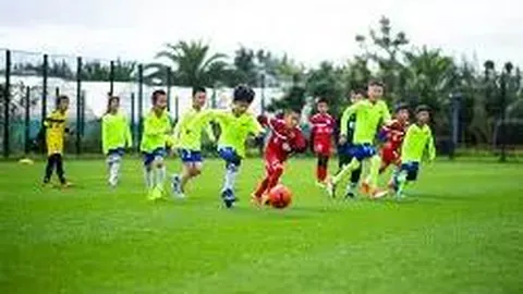 郑钦文凌晨四点坚持晨练，对萨巴评价客观，全力投入自我进步